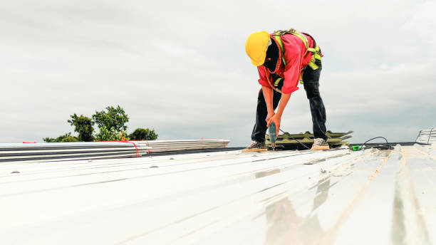 4 Ply Roofing in Machesney Park, IL